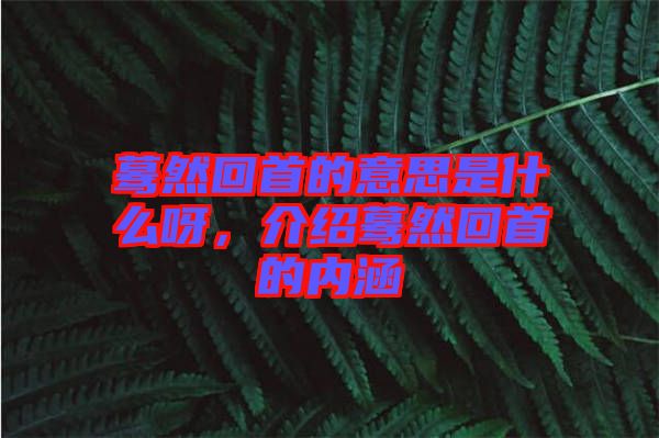 驀然回首的意思是什么呀，介紹驀然回首的內涵