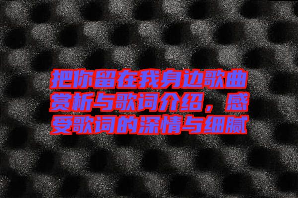 把你留在我身邊歌曲賞析與歌詞介紹，感受歌詞的深情與細膩