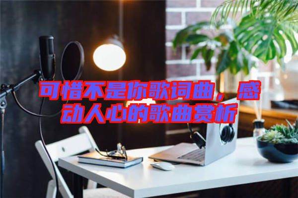 可惜不是你歌詞曲，感動人心的歌曲賞析