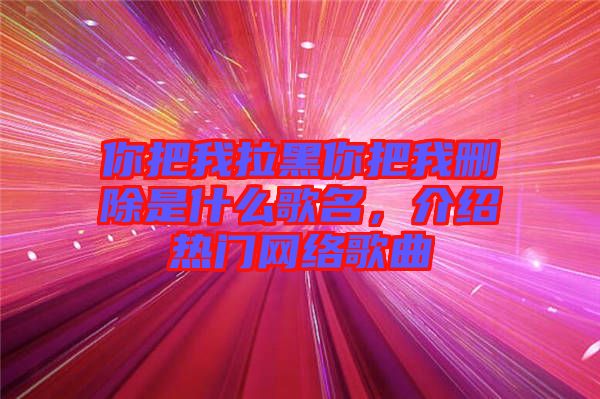 你把我拉黑你把我刪除是什么歌名，介紹熱門網絡歌曲