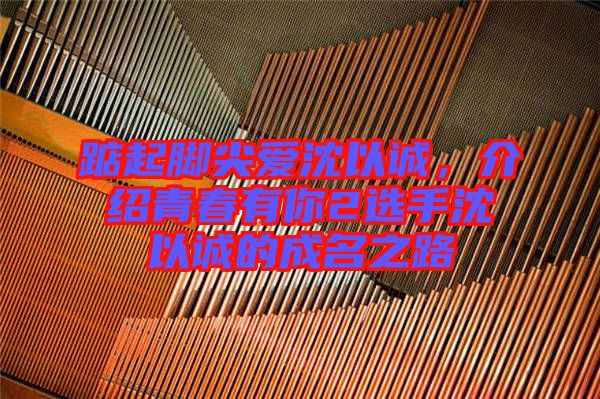 踮起腳尖愛沈以誠，介紹青春有你2選手沈以誠的成名之路