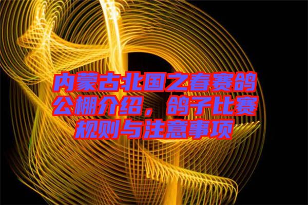 內蒙古北國之春賽鴿公棚介紹，鴿子比賽規則與注意事項