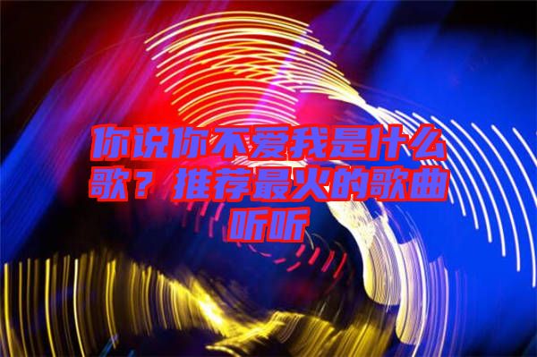 你說你不愛我是什么歌？推薦最火的歌曲聽聽