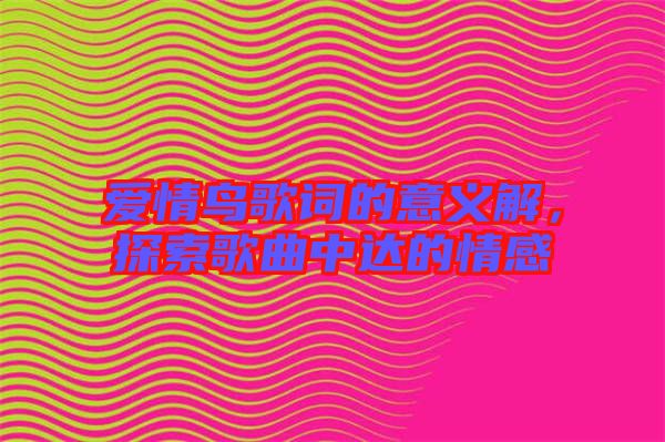 愛情鳥歌詞的意義解，探索歌曲中達的情感