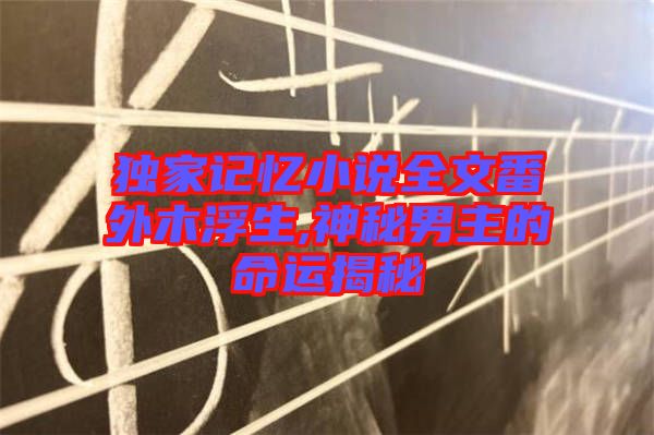 獨家記憶小說全文番外木浮生,神秘男主的命運揭秘