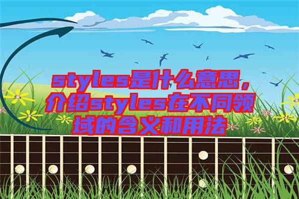 styles是什么意思，介紹styles在不同領(lǐng)域的含義和用法