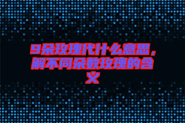 9朵玫瑰代什么意思，解不同朵數玫瑰的含義