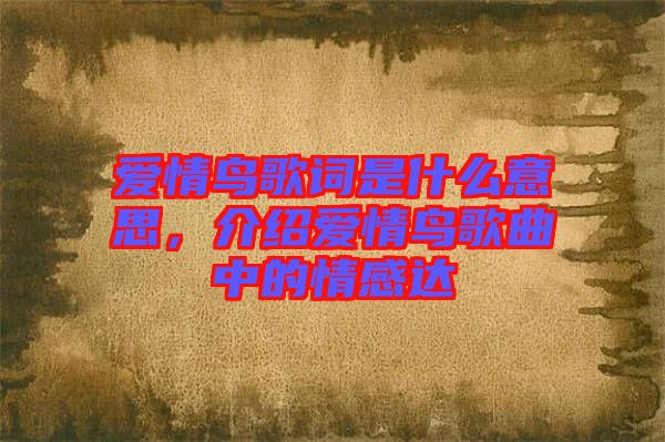 愛情鳥歌詞是什么意思，介紹愛情鳥歌曲中的情感達