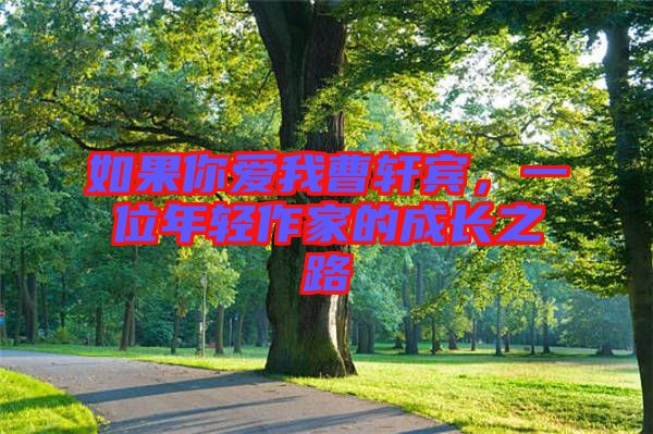 如果你愛我曹軒賓，一位年輕作家的成長之路