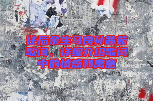 往后余生馬良孫茜茹歌詞，詳細(xì)介紹歌詞中的情感和寓意