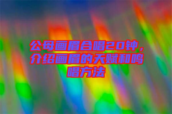 公母畫眉合唱20鐘，介紹畫眉的天賦和鳴唱方法