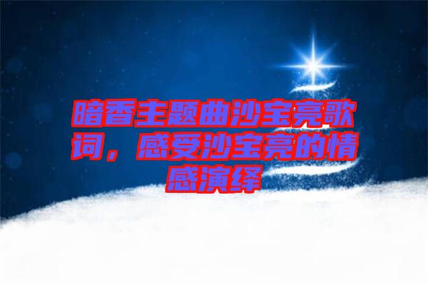 暗香主題曲沙寶亮歌詞，感受沙寶亮的情感演繹