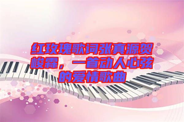 紅玫瑰歌詞張真源賀峻霖，一首動人心弦的愛情歌曲