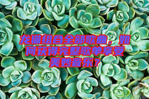 龍貓組合全部歌曲，如何獲得完整歌單享受美妙音樂？