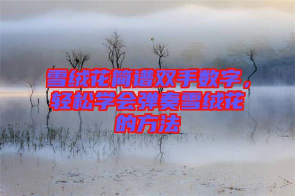 雪絨花簡譜雙手數字，輕松學會彈奏雪絨花的方法