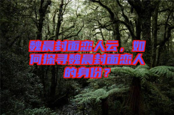 魏晨封面戀人云，如何探尋魏晨封面戀人的身份？