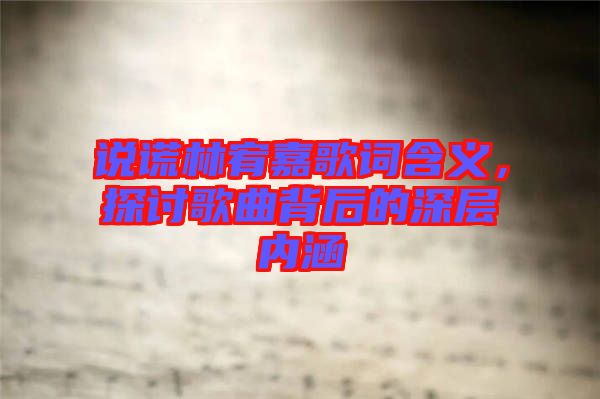 說謊林宥嘉歌詞含義，探討歌曲背后的深層內涵